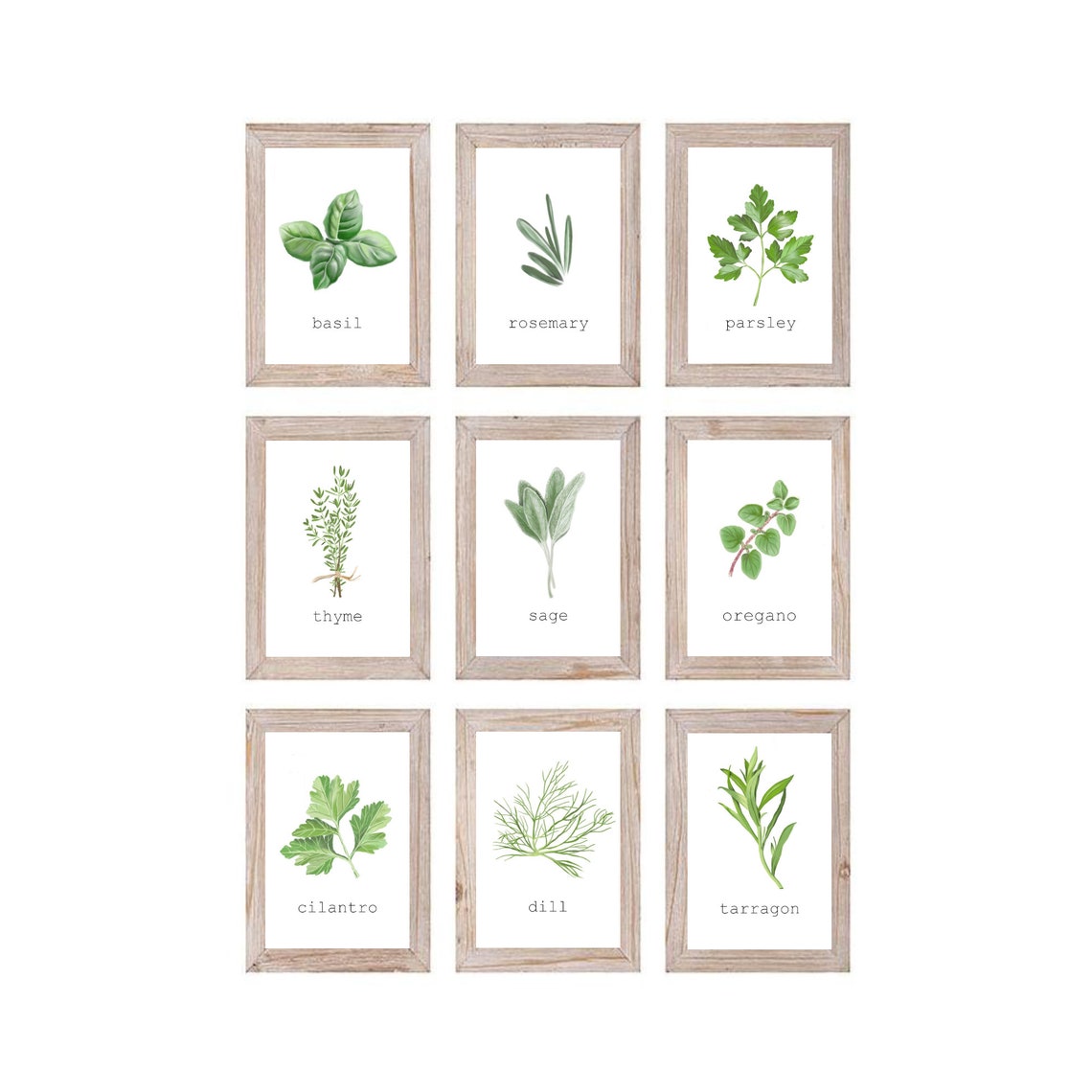 DIGITAL DOWNLOAD Set of 9 Herb Prints Printable Herbs | Etsy