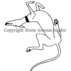 Puede incluir: Dibujo en blanco y negro de un perro, posiblemente un galgo, en una pose juguetona con las patas en el aire y la cola enroscada.