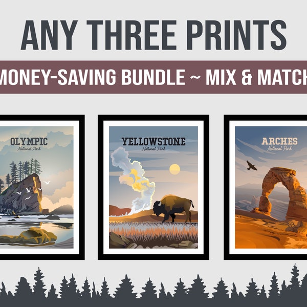 Set of Three National Park Posters | Choose Any 3 Artist Created National Park Prints | Classic Style Posters | Hand Drawn | Mix & Match