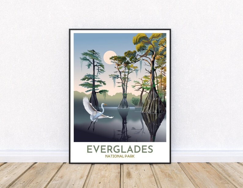 May include: A poster with a scenic illustration of the Everglades National Park. The poster features a white egret bird flying over a swamp with cypress trees and a full moon in the sky. The text "EVERGLADES NATIONAL PARK" is at the bottom of the poster.