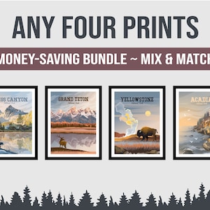 Set of Four National Park Prints | Any 4 National Park Posters | Classic Vintage Style | Physical Print Bundle | Hand Drawn | Mix and Match