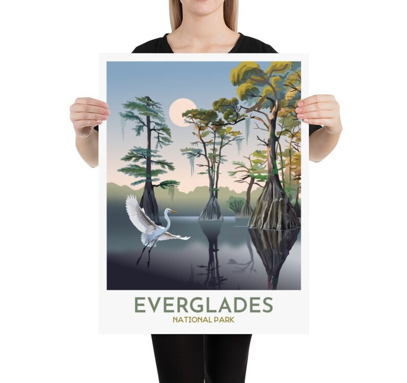 May include: A poster featuring a stylized illustration of a white egret flying over a swamp with cypress trees and reflections in the water. The text "EVERGLADES NATIONAL PARK" is at the bottom of the poster.