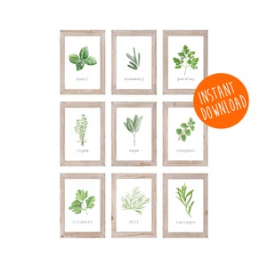 DIGITAL DOWNLOAD - Set of 9 Herb Prints, Printable Herbs, Printable Kitchen Art, Kitchen Herb Prints, Herb Artwork, 4x6, 5x7, 8x10, 11x14