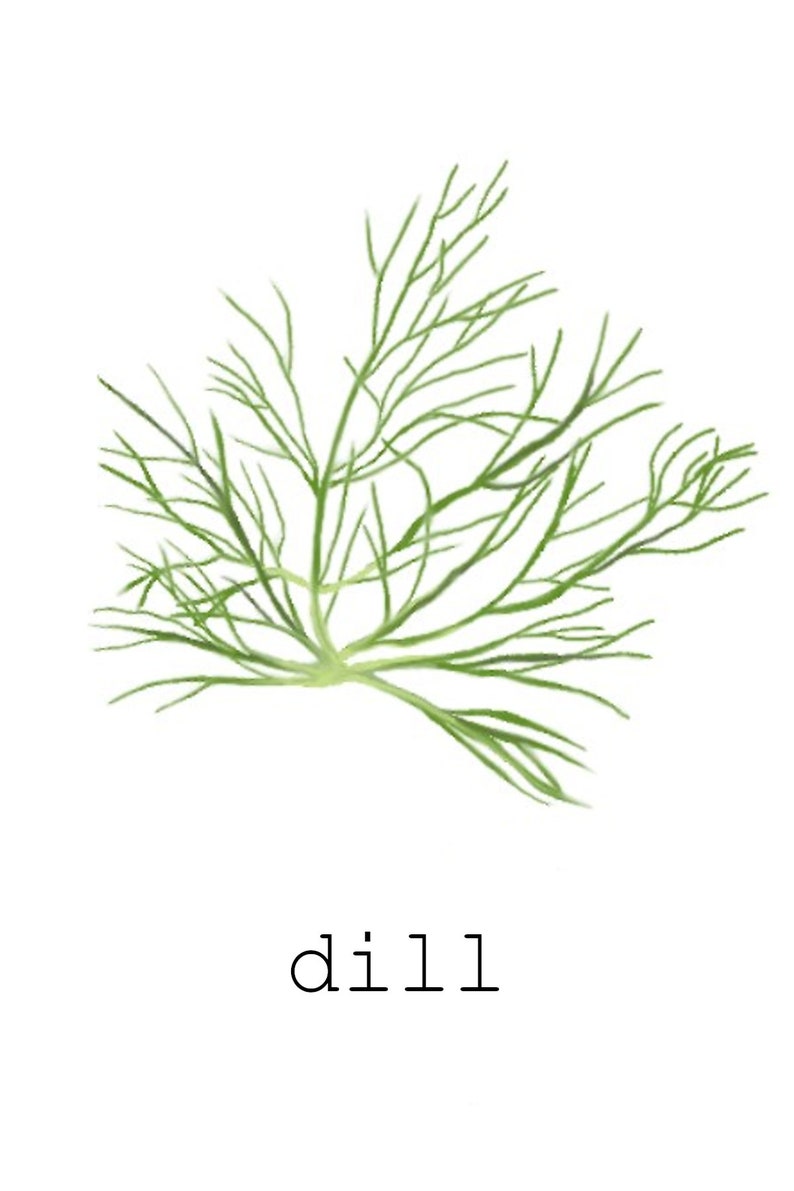 Herb Print Set of 20 Herb Printables Kitchen Printables | Etsy | Herb