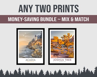 Set of Two National Park Prints | Choose Any 2 National Park Posters | Hand Drawn Original Designs | Money Saving Bundle | Mix and Match