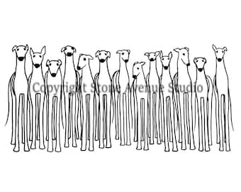 May include: Black and white line drawing of a group of 11 greyhounds standing in a row. The greyhounds are all facing forward and have their tails up.