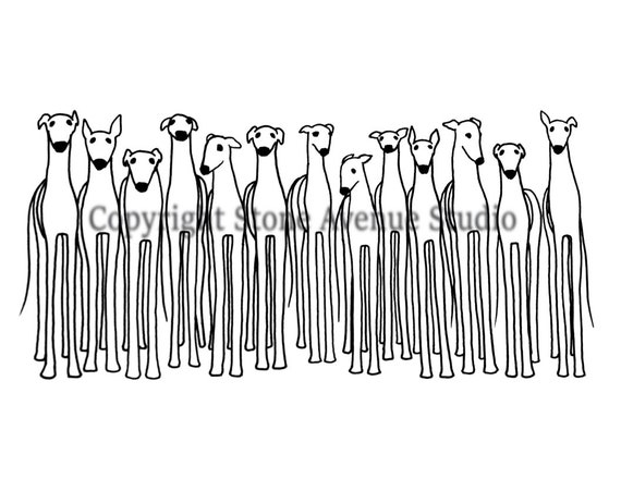 DIGITAL DOWNLOAD - Printable Greyhound Art, Greyhound Download, Black and White Greyhound, Greyhound Drawing, Greyhound Adoption
