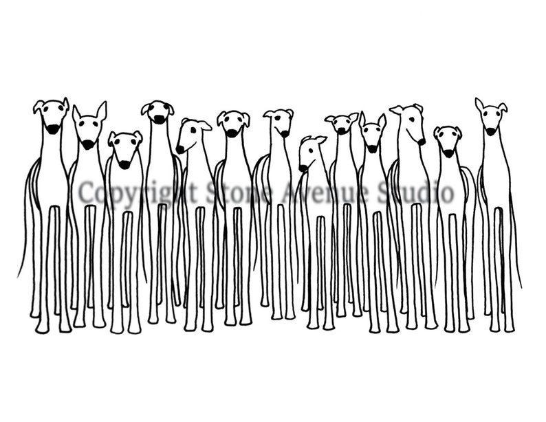 May include: Black and white line drawing of a group of 11 greyhounds standing in a row. The greyhounds are all facing forward and have their tails up.