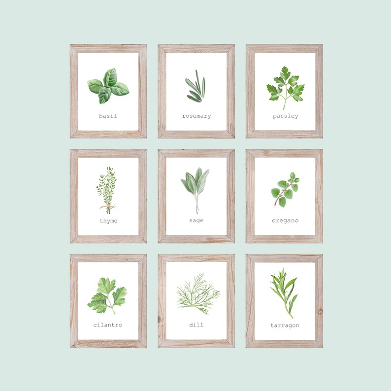 INSTANT DOWNLOAD Set of Herb Prints Printable Herb Art | Etsy