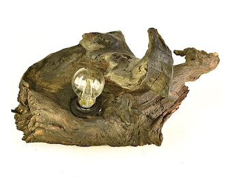 Lamp in root-handmade design lamp