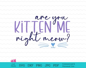 Are You Kitten Me Cut File,  funny shirt, cat svg saying, cat svg designs, cat PNG