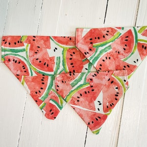 Summer Sweets Over the Collar Dog Bandana | summer bandana | dog bandana | bandana