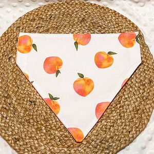 Peachy Over the Collar Dog Bandana | Summer bandana | Seasonal Bandana | Spring Bandana