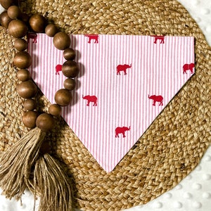 Big AL Over the Collar Dog Bandana | Alabama dog Bandana | Alabama Football | Alabama Baseball | college bandanas