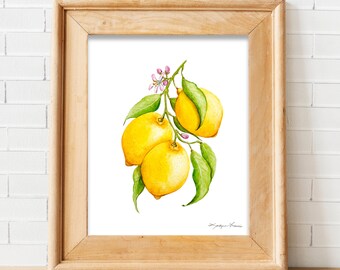Lemon Branch Art Print: Citrus Watercolor, Botanical Illustration, Set of 3 Available, 3 Lemons on Branch, Citrus Bloom, Fruit, Foliage