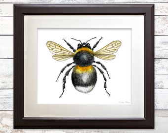 Bumblebee Art Print, Complementary Prints, Insect Illustration, Bug Art, Wall Art, Home Decor, Watercolor Art Print, Gift, 5x7, 8x10