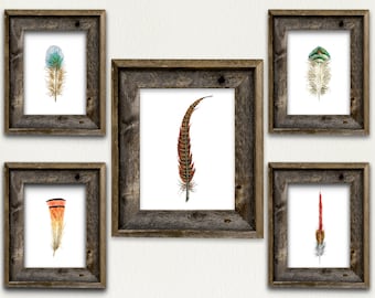 Pheasant Feather Art Prints, Set of 5 Available, Nature Lover, Game bird, Man Cave, Watercolor Art Print, Wall Art, Illustration, 5x7, 8x10