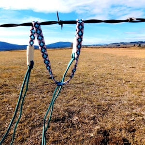 May include: A turquoise and pink patterned horse halter is suspended from a barbed wire fence. The halter features a white connector and turquoise rope reins. The background shows a field, mountains, and a blue sky with clouds.