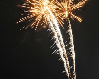 Fireworks in Toms River