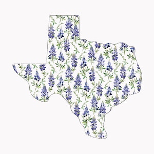Texas PNG, Bluebonnet PNG, Estado PNG para Camisa, Flor Bluebonnet do Texas, Floral, Flor do estado do Texas, Dallas, design de sublimação Arquivo Digital