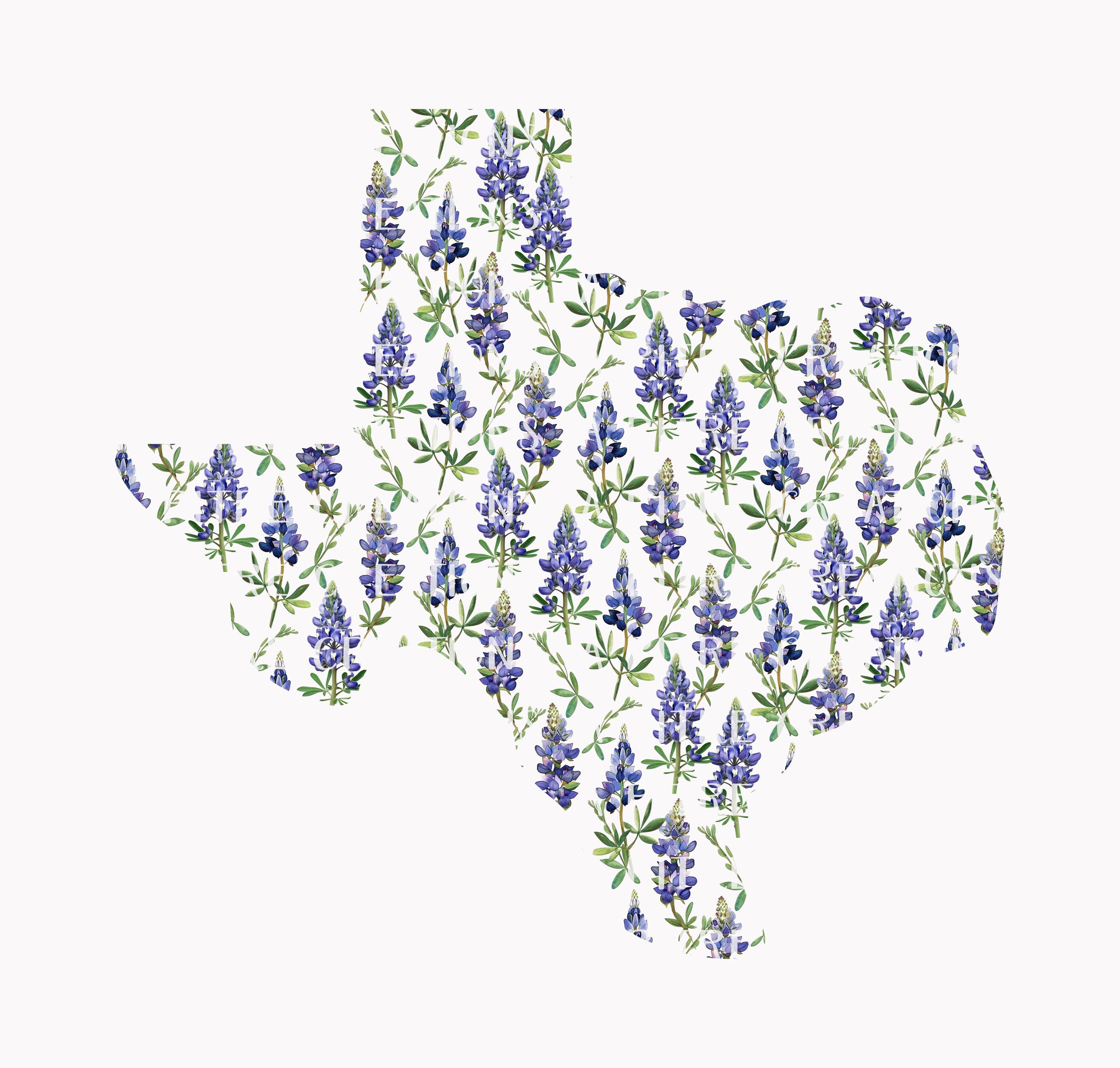 Texas Bluebonnet Floral PNG, State Flower (digital File) - Etsy