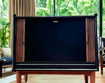 May include: A black vintage cabinet with wood panel doors and a wood top. The cabinet has a dark wood frame and sits on four legs. The cabinet is in a room with wood floors and a window with green foliage outside.