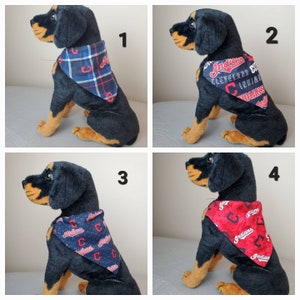 May include: Four images of a black dog wearing different Cleveland Indians themed bandanas. The bandanas are blue and red with the team logo and text.