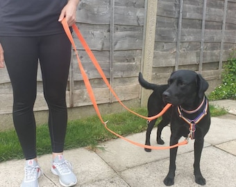 double ended lead with handle