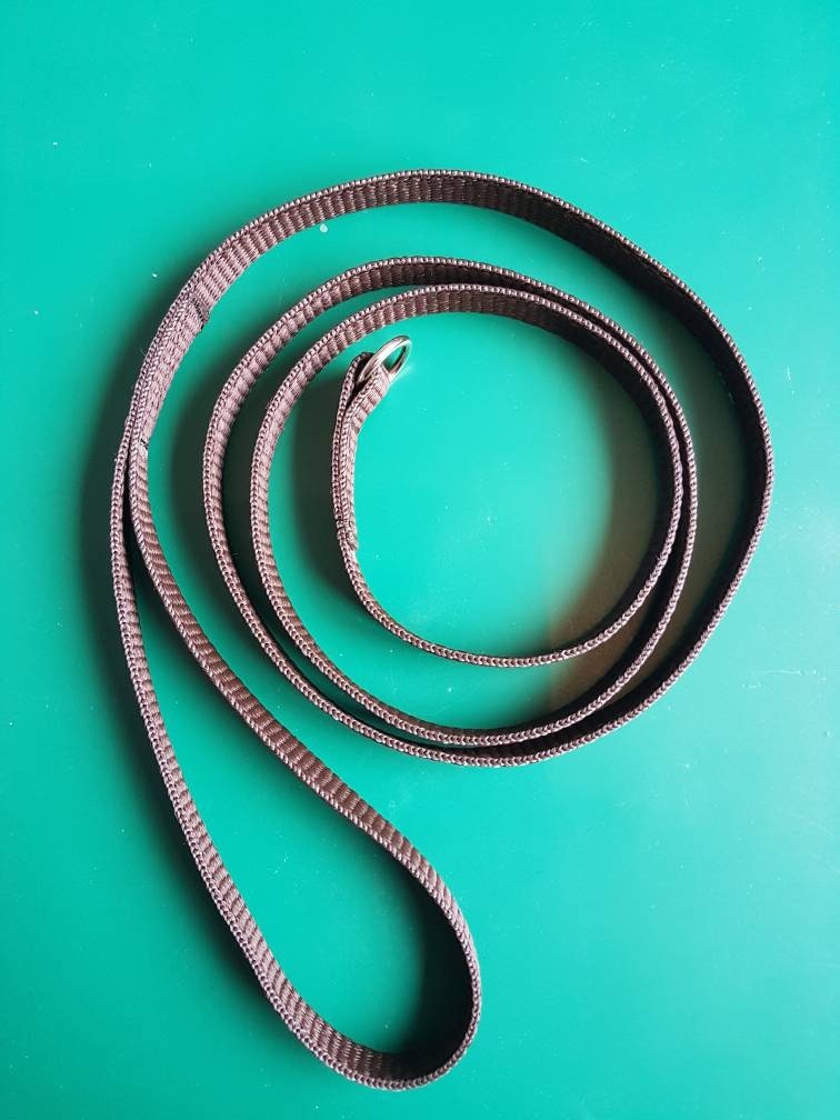 Dog Show Slip Lead Etsy