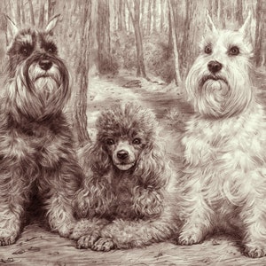 Graphic Pencil Drawing Pet Portrait To Order Custom Portrait Drawing From Photo