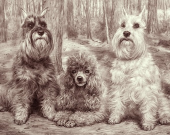 Dibujo a lápiz gráfico Retrato de mascota Para ordenar Dibujo de retrato personalizado de la foto