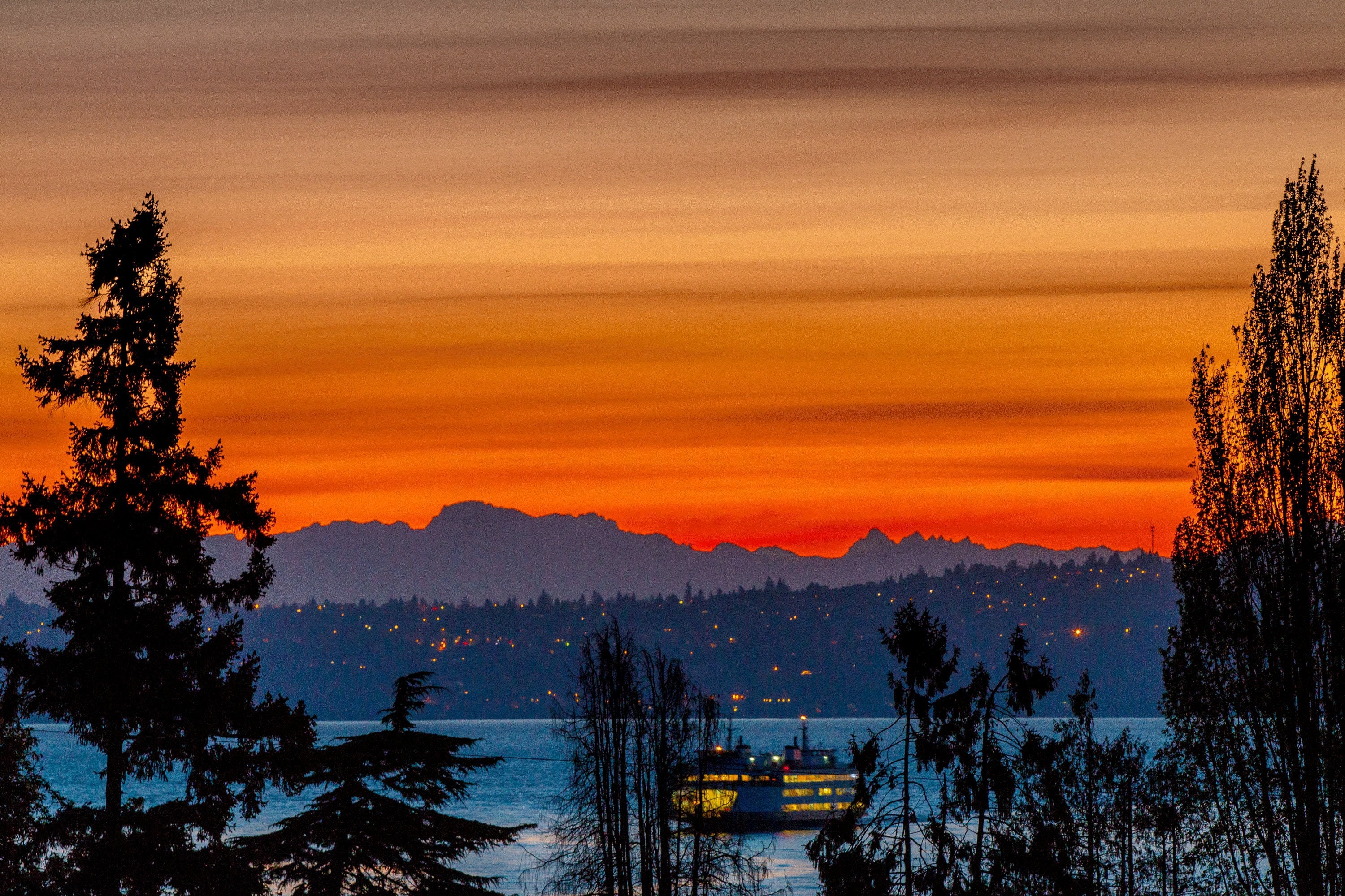 Washington State Ferry Card Etsy