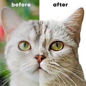 May include: A before and after image of a cat's face. The left side of the image shows the cat's face in a realistic photo. The right side of the image shows the cat's face in a painterly style.