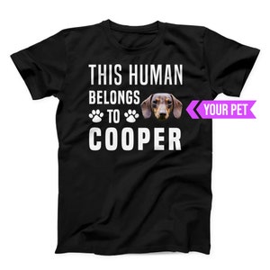 Dachshund shirt, Dachshund tshirt, Dachshund clothes, Dachshund mom, Dachshund dad, Dachshund gift, Wiener Dog shirt, Wiener Dog mom
