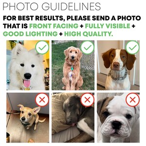 May include: A photo guide with examples of good and bad photos for pet portraits. The top row shows three dogs with check marks, indicating good photos. The bottom row shows three dogs with X marks, indicating bad photos. The text reads "PHOTO GUIDELINES FOR BEST RESULTS, PLEASE SEND A PHOTO THAT IS FRONT FACING + FULLY VISIBLE + GOOD LIGHTING + HIGH QUALITY."