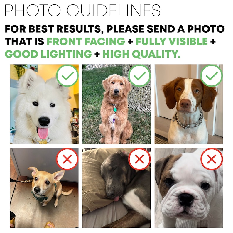 May include: A photo guide with examples of good and bad photos for pet portraits. The top row shows three dogs with check marks, indicating good photos. The bottom row shows three dogs with X marks, indicating bad photos. The text reads "PHOTO GUIDELINES FOR BEST RESULTS, PLEASE SEND A PHOTO THAT IS FRONT FACING + FULLY VISIBLE + GOOD LIGHTING + HIGH QUALITY."