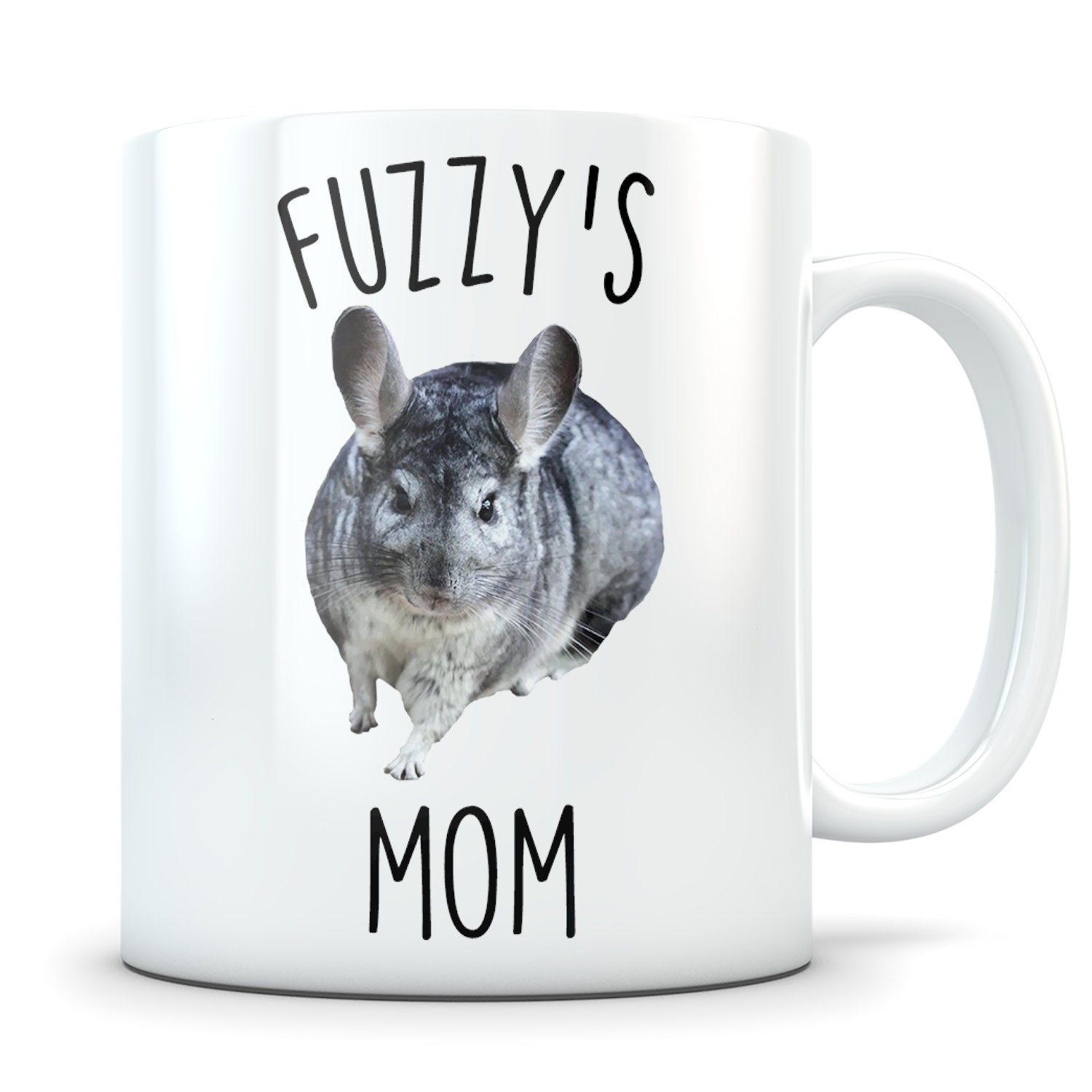 Do Chinchillas Throw Poop