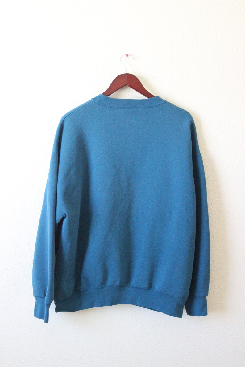henry doorly omaha/'s zoo TIGER GRAPHIC SWEATSHIRT \\\\ vintage 90s lion graphic sweatshirt turquoise sweatshirt tiger sweatshirt vtg
