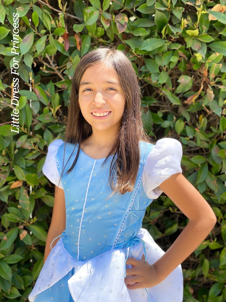 Cinderella Dress/princess Cinderella Girl Dress/inspired - Etsy