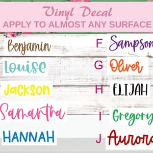 May include: Vinyl decal sheet with 10 different names, including Benjamin, Louise, Jackson, Samantha, Hannah, Sampson, Oliver, Elijah, Gregory, and Aurora. The names are printed in various colors on a white background.