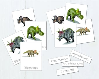 Triceratops Flash Cards, Printable Montessori Materials, Natural History Homeschool Resources for Preschool Kids, Digital Download