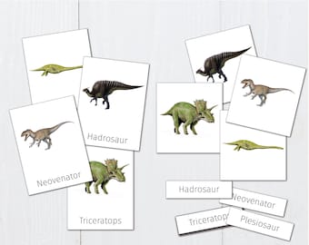 Dinosaur Flashcards, Animal Flashcards for Toddlers, Montessori Material, Early Learning Printable