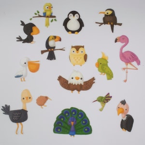 Birds Felt Board Stories, Animals of the World Felt Toys Set, Montessori Material for Preschool and Homeschool image 1