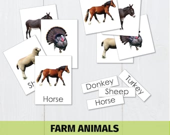 Farm Animals Flash Cards for Toddlers, Montessori Printable, Preschool Worksheets Instant Download