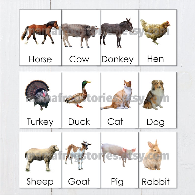 Farm Animals Flash Cards for Toddlers Montessori Printable | Etsy