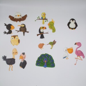 Birds Felt Board Stories, Animals of the World Felt Toys Set, Montessori Material for Preschool and Homeschool image 3