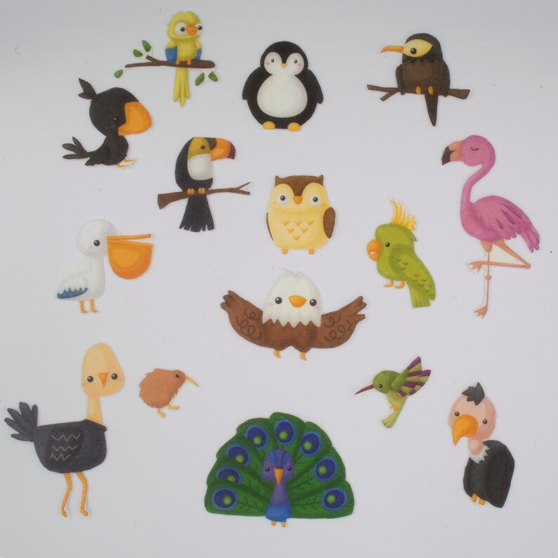 Birds Felt Board Stories, Animals of the World Felt Toys Set, Montessori Material for Preschool and Homeschool image 1