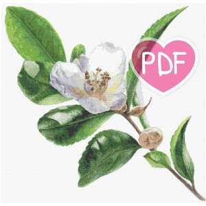 Kreuzstichmuster | Lindenblüte | PDF Schnittmuster | DMC | Stickerei | Grün Limette | Stickdatei | Digitales Format Kreuzstich