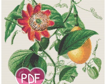 FLOWERING SHRUBS in Cross Stitch by ZARZA – Embroidery Pattern Book