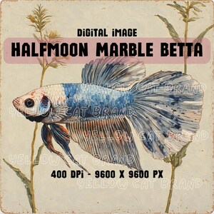 Könnte beinhalten: Digitales Bild eines Halfmoon Marble Betta-Fisches. Der Fisch hat einen blau-weißen Körper mit einem großen, fließenden Schwanz. Das Bild enthält den Text "Digital Image" und "Halfmoon Marble Betta".